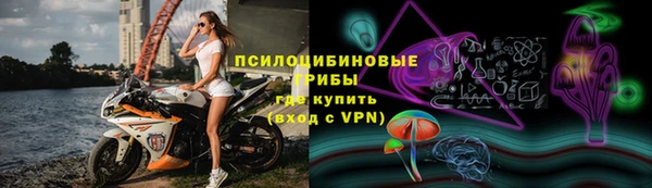 амф Белоозёрский